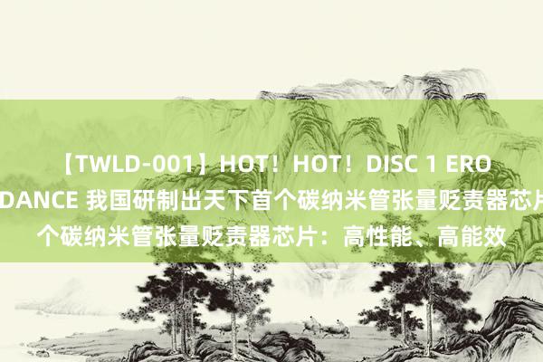 【TWLD-001】HOT！HOT！DISC 1 ERO-BODY BURNING DANCE 我国研制出天下首个碳纳米管张量贬责器芯片：高性能、高能效