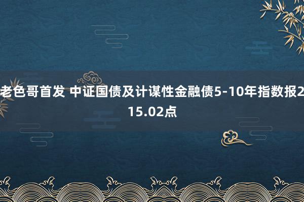 老色哥首发 中证国债及计谋性金融债5-10年指数报215.02点