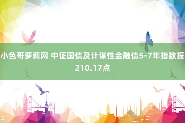 小色哥萝莉网 中证国债及计谋性金融债5-7年指数报210.17点