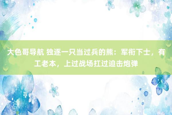 大色哥导航 独逐一只当过兵的熊：军衔下士，有工老本，上过战场扛过迫击炮弹