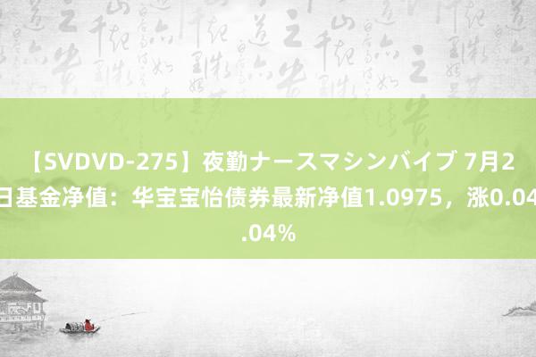 【SVDVD-275】夜勤ナースマシンバイブ 7月26日基金净值：华宝宝怡债券最新净值1.0975，涨0.04%