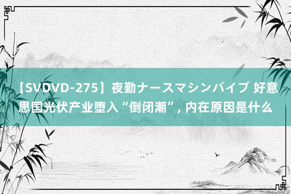 【SVDVD-275】夜勤ナースマシンバイブ 好意思国光伏产业堕入“倒闭潮”, 内在原因是什么