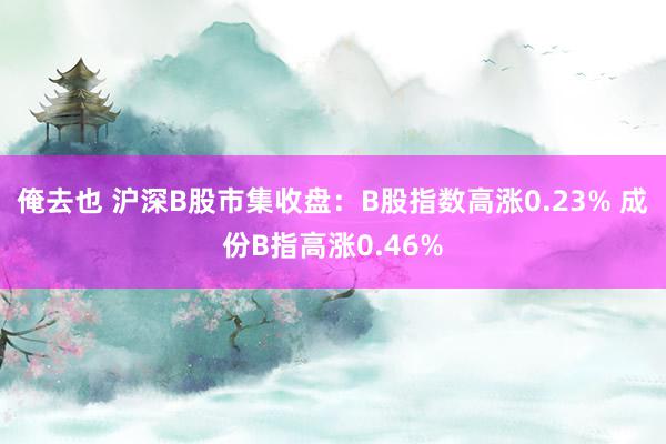 俺去也 沪深B股市集收盘：B股指数高涨0.23% 成份B指高涨0.46%