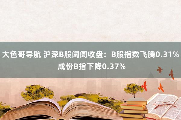 大色哥导航 沪深B股阛阓收盘：B股指数飞腾0.31% 成份B指下降0.37%