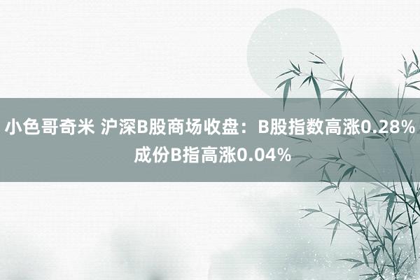 小色哥奇米 沪深B股商场收盘：B股指数高涨0.28% 成份B指高涨0.04%