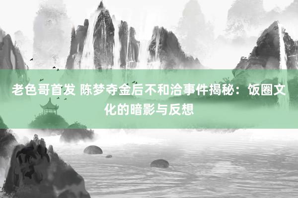 老色哥首发 陈梦夺金后不和洽事件揭秘：饭圈文化的暗影与反想