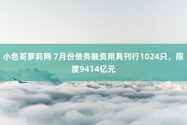 小色哥萝莉网 7月份债务融资用具刊行1024只，限度9414亿元