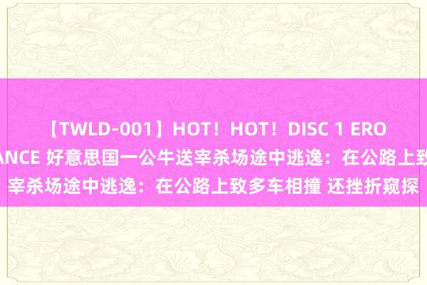 【TWLD-001】HOT！HOT！DISC 1 ERO-BODY BURNING DANCE 好意思国一公牛送宰杀场途中逃逸：在公路上致多车相撞 还挫折窥探