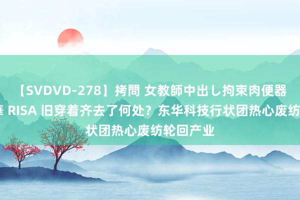 【SVDVD-278】拷問 女教師中出し拘束肉便器 仁科百華 RISA 旧穿着齐去了何处？东华科技行状团热心废纺轮回产业