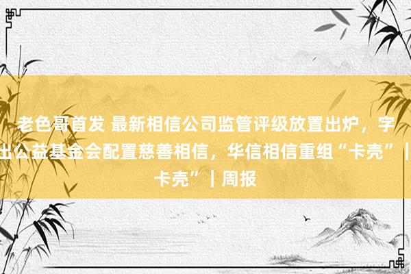 老色哥首发 最新相信公司监管评级放置出炉，字节高出公益基金会配置慈善相信，华信相信重组“卡壳”｜周报