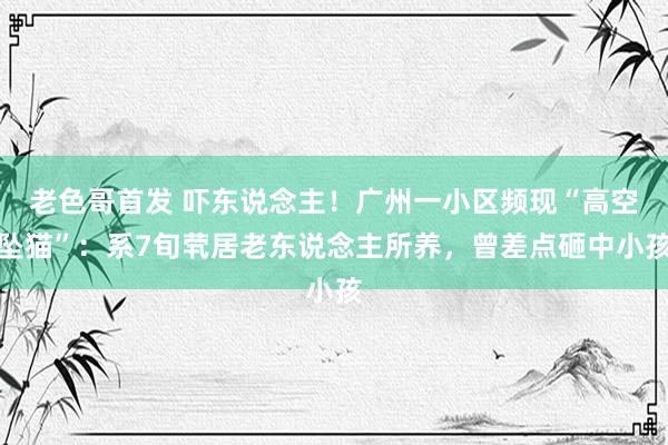 老色哥首发 吓东说念主！广州一小区频现“高空坠猫”：系7旬茕居老东说念主所养，曾差点砸中小孩