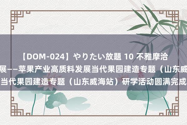 【DOM-024】やりたい放題 10 不雅摩洽商拓想路，对标先进共发展——苹果产业高质料发展当代果园建造专题（山东威海站）研学活动圆满完成