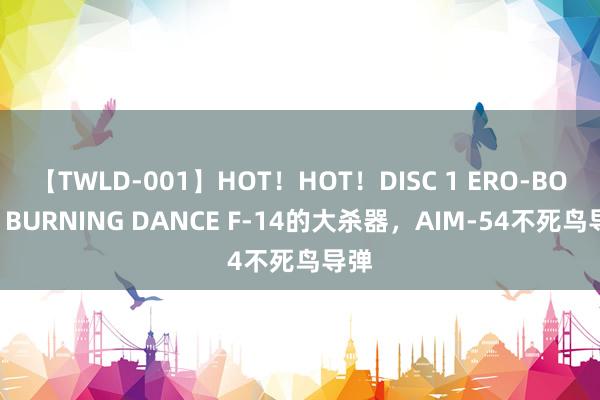 【TWLD-001】HOT！HOT！DISC 1 ERO-BODY BURNING DANCE F-14的大杀器，AIM-54不死鸟导弹