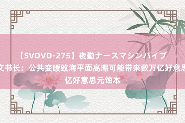 【SVDVD-275】夜勤ナースマシンバイブ 连合国文书长：公共变暖致海平面高潮可能带来数万亿好意思元蚀本